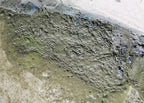 photo showing paint floating on surface of water in spray booth