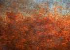 photo showing rust on a metal surface which can be removed with our product netphos 50 gel
