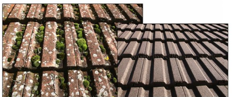 before and after the removal of moss with our moss killing chemicals