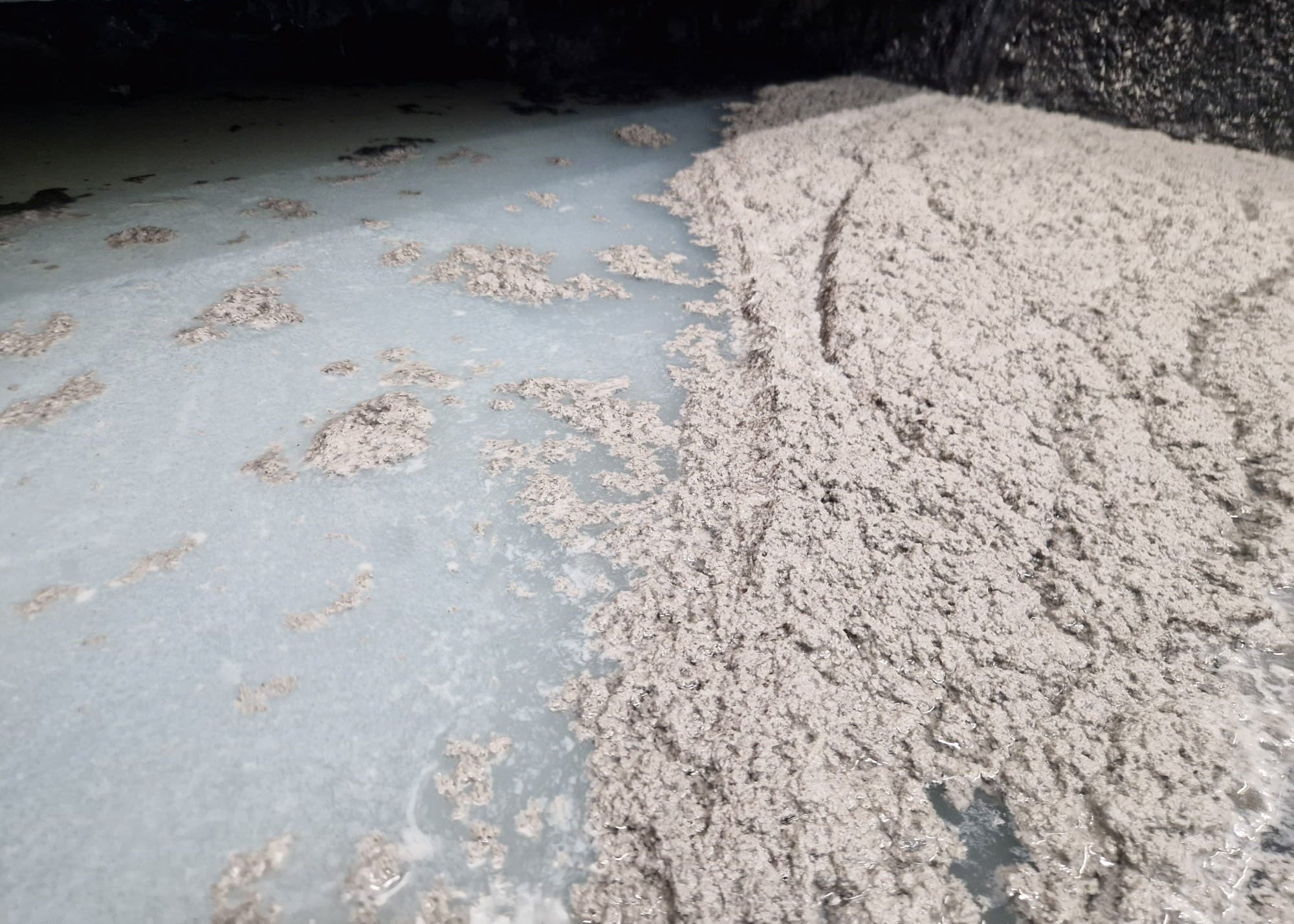 showing clear water and floating water based lacquer after being treated with our chemicals to remove waste sludge