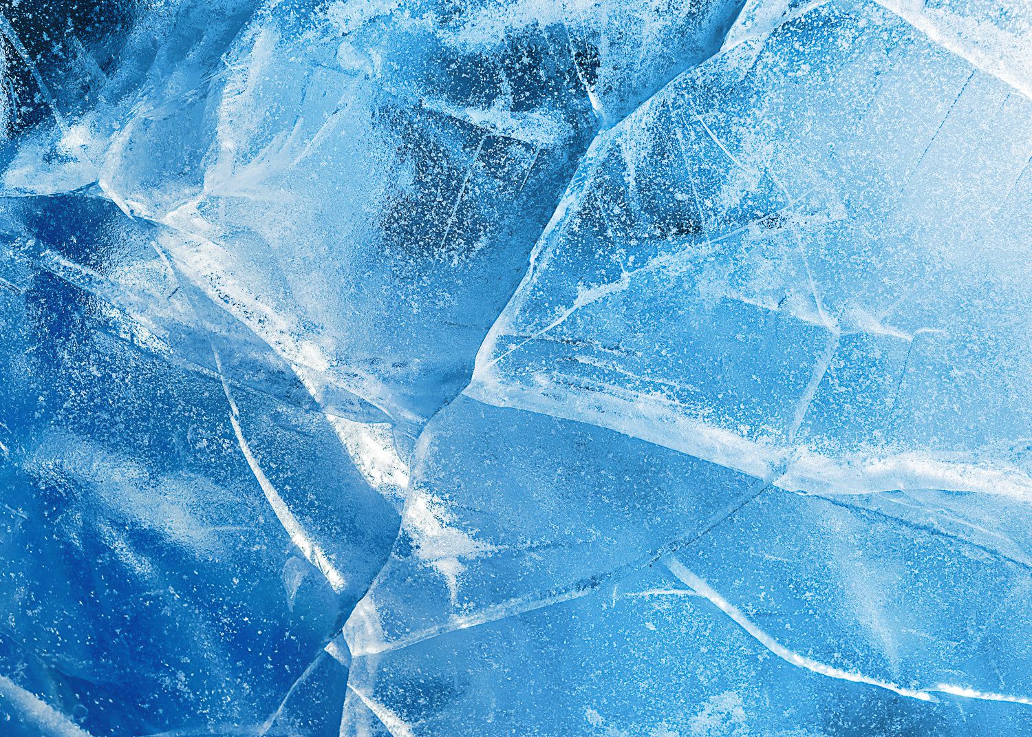Antifreeze LD