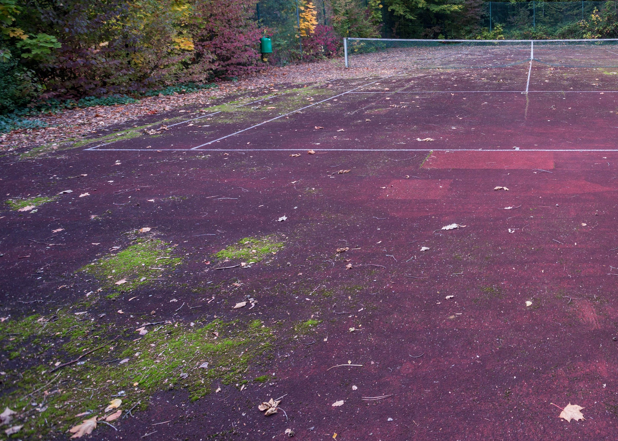 Tennis court with patches of green moss and lichen on the surface. Clean a tennis court with Baticlean CR