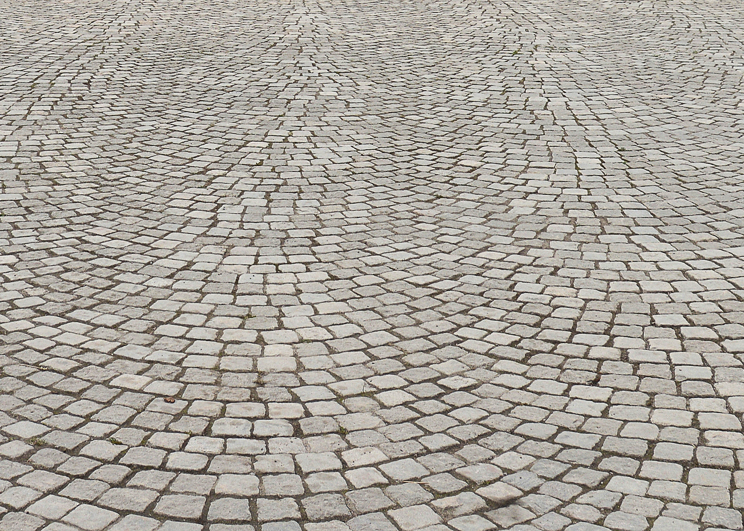 stone sets forming a driveway that has been cleaned with Baticlean CR to keep the surface free from greening and growth.