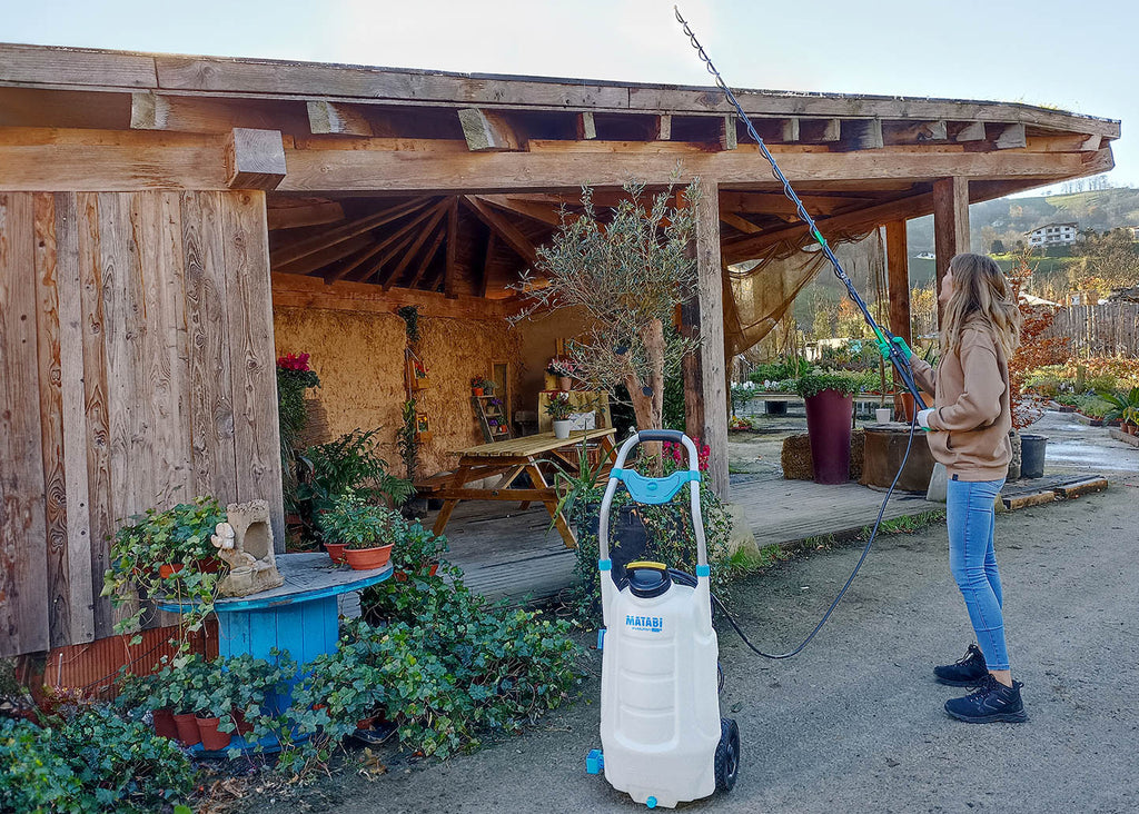 large capacity sprayer that can be used with a long telescopic lance which can spray moss killers and surface cleaners on to a roof