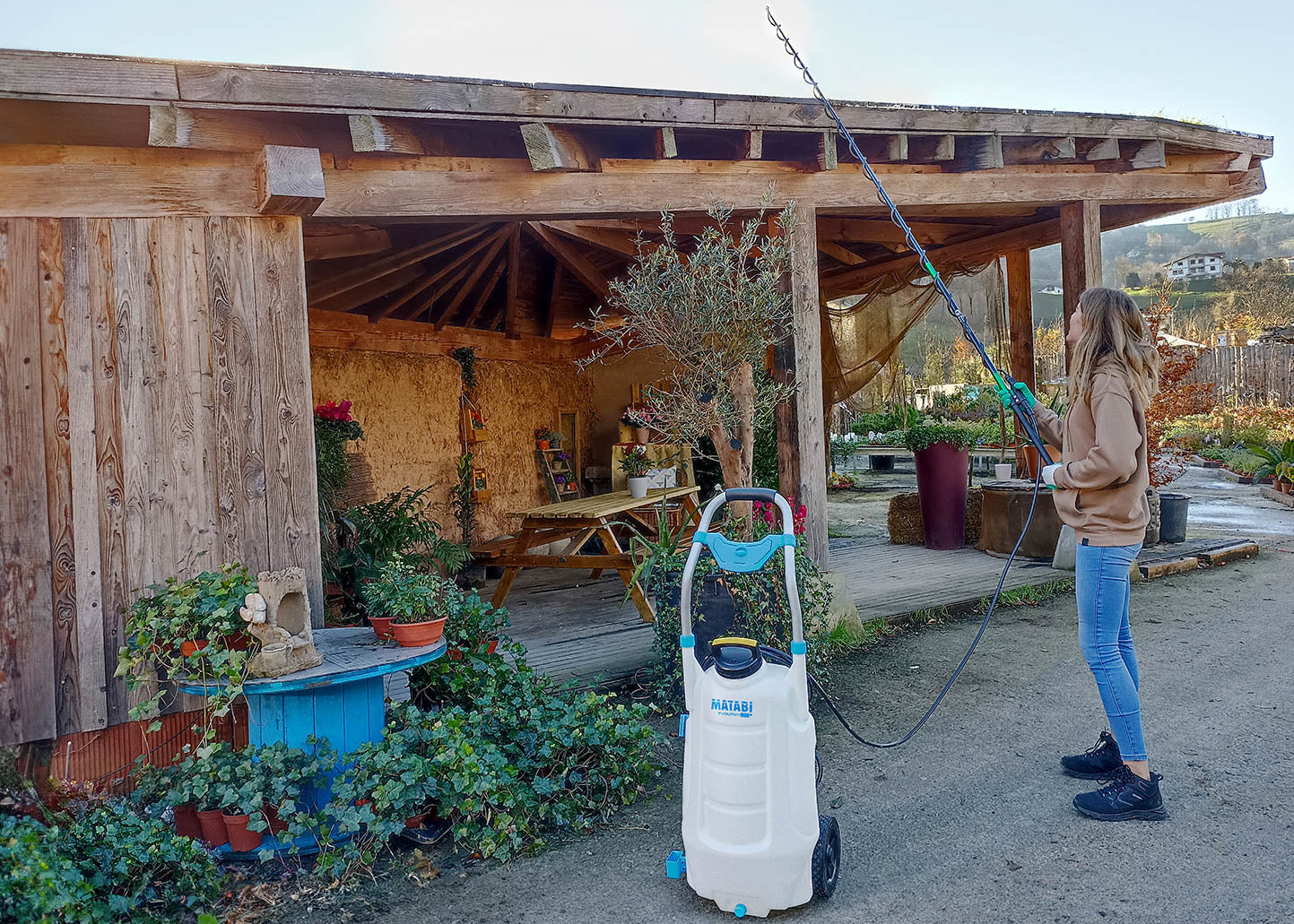 large capacity sprayer that can be used with a long telescopic lance which can spray moss killers and surface cleaners on to a roof