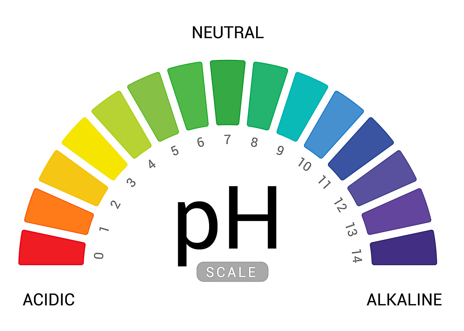photo of a ph scale showing acidic reading being low on the scale and alkaline readings higher on the scale.