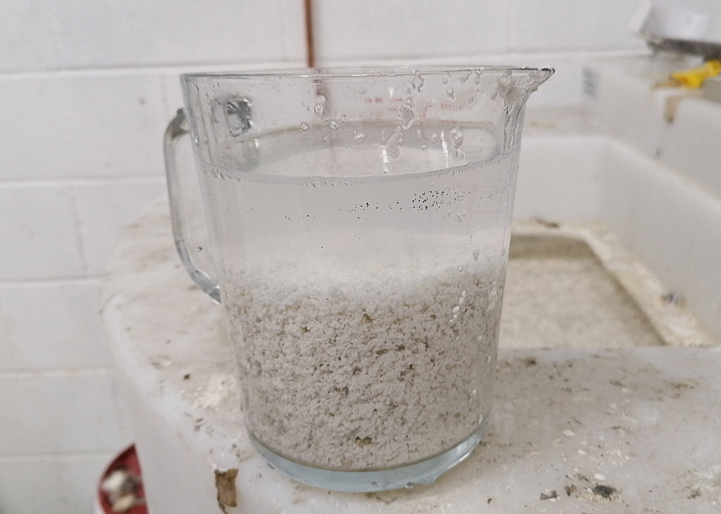 Proco 416P