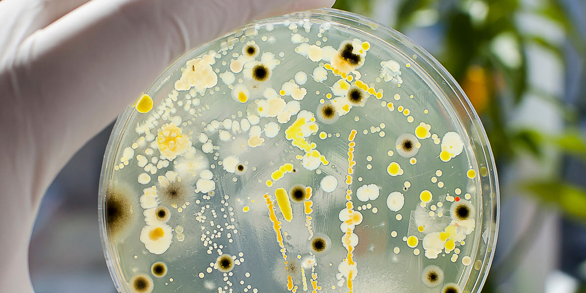 Biocide Ensure your Industrial Water is free from Harmful Bacteria SPCB